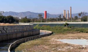 Edesio Ferreira/EM/D.A Press